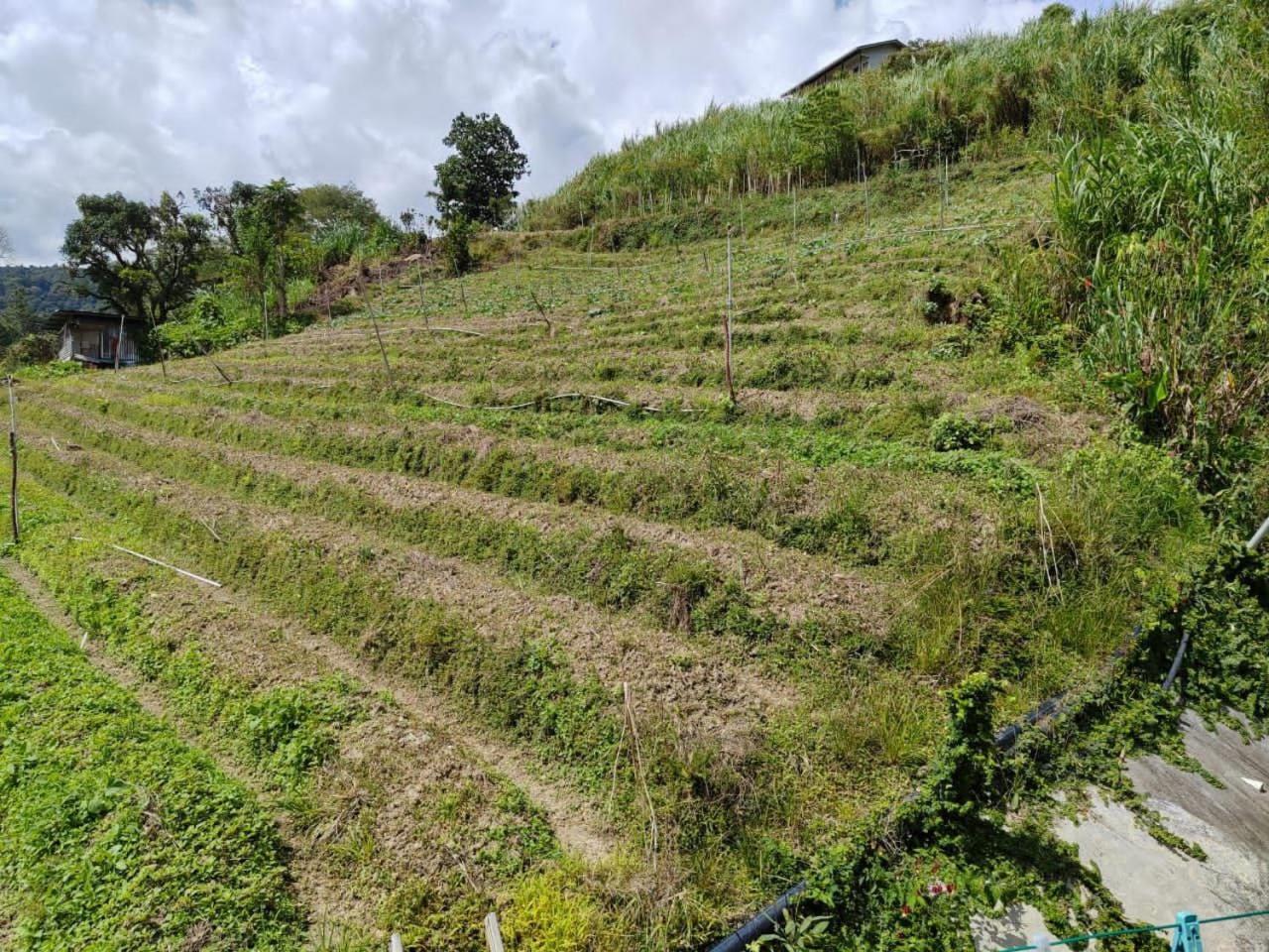 Kundasang Mount Garden Dış mekan fotoğraf