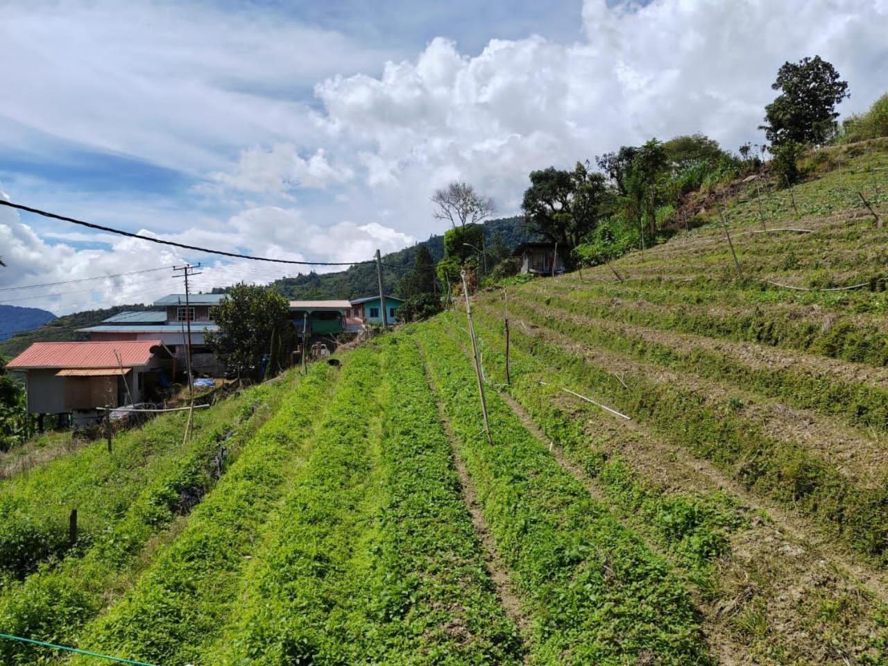 Kundasang Mount Garden Dış mekan fotoğraf